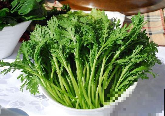 宅家无聊不如种菜，这小菜长势飞速，滋味美还好看！