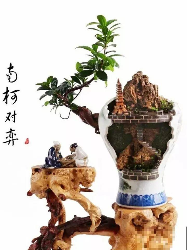 酒瓶子舍不得扔，做成花盆，美到你认不出来！