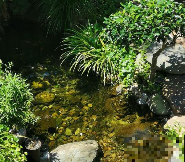想回到农村，把老家改造成花园，庭前种花，屋后种菜！