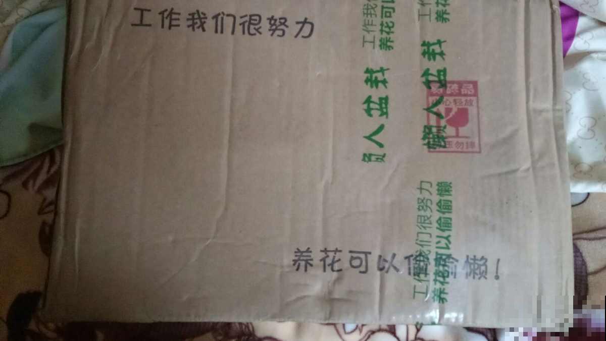 网购花卉要擦亮眼，别被图片蒙蔽，还是谨慎点好