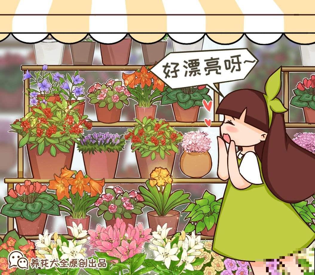 4种花，尽量不要在春天买，养不活还浪费钱