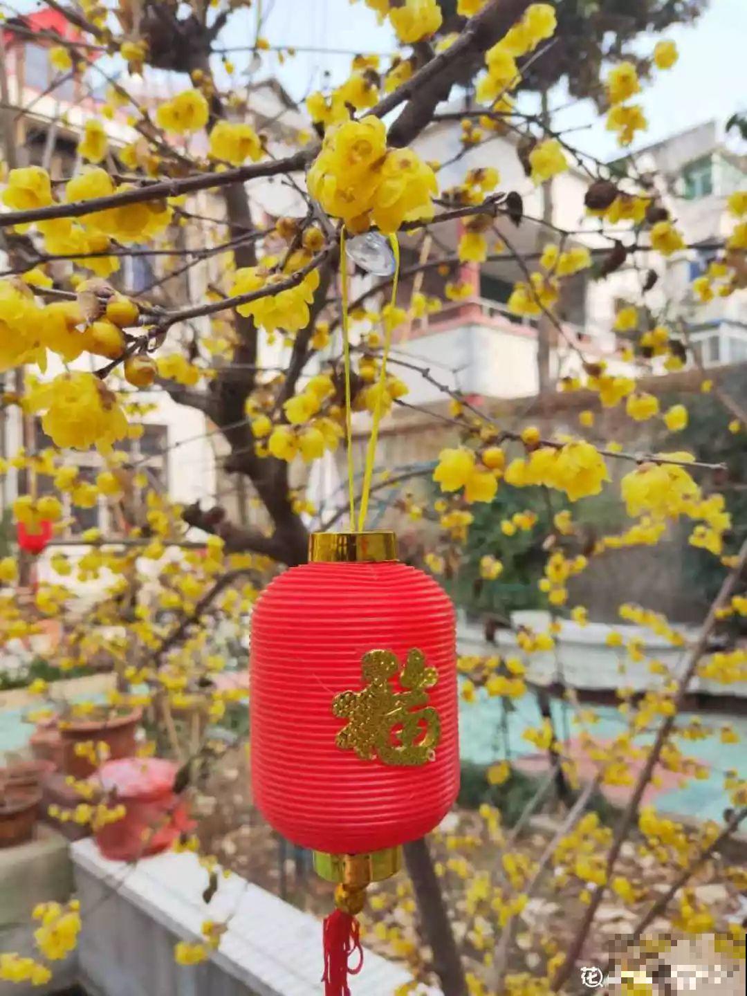 每天都有好消息，等到春暖花开时，所有的美好也都会如期而至！