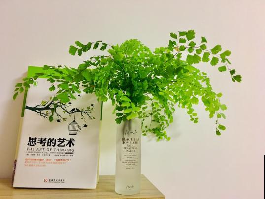6种花最怕干燥，早春要多喷喷水，叶子水灵灵的最好看！