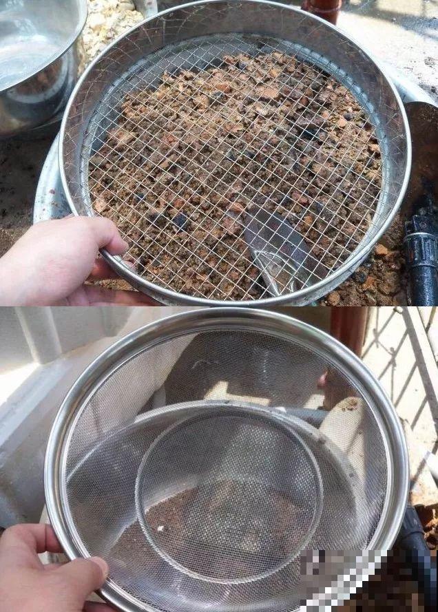 路边看见这玩意，赶紧捡回家养花，比买的植料还好用！
