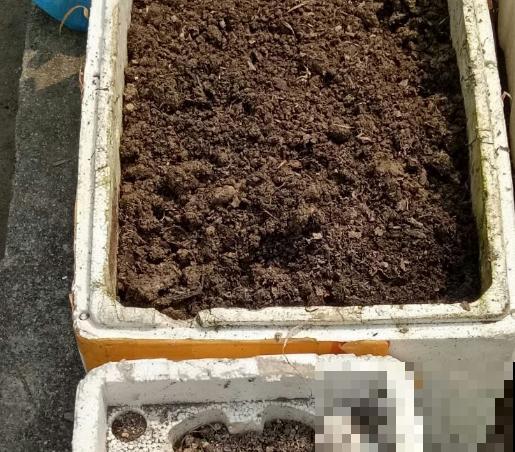 野外这3种土，是养花黄金土，枝繁叶茂根又壮！