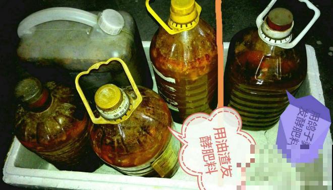 家里有这花，不能乱换盆，换完叶子哗哗掉！