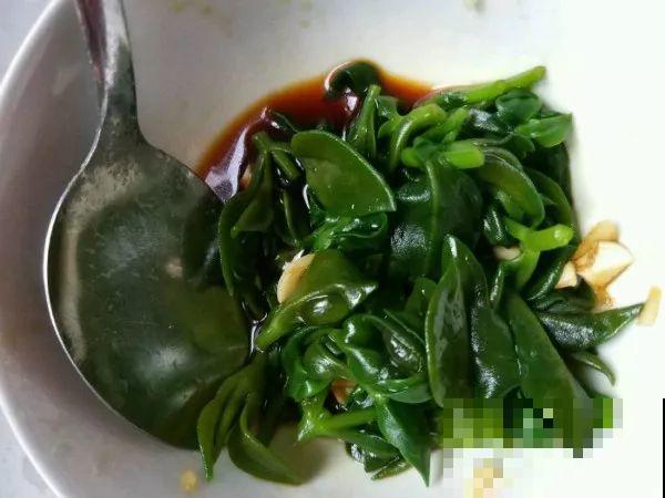 家里没菜了，我把这花炒了吃，老妈气得要打人！
