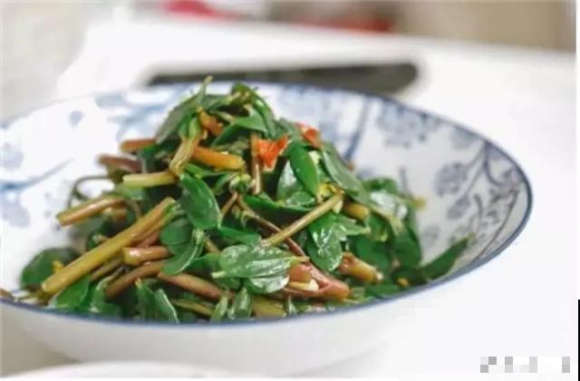 春天野菜赛黄金，教你2种做法，好吃又养生！