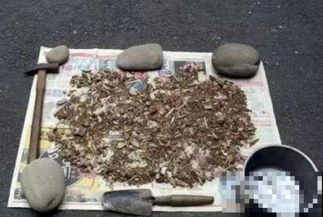 冬天炖骨头汤，剩下的大棒骨不要扔，这么一弄养花绝了！