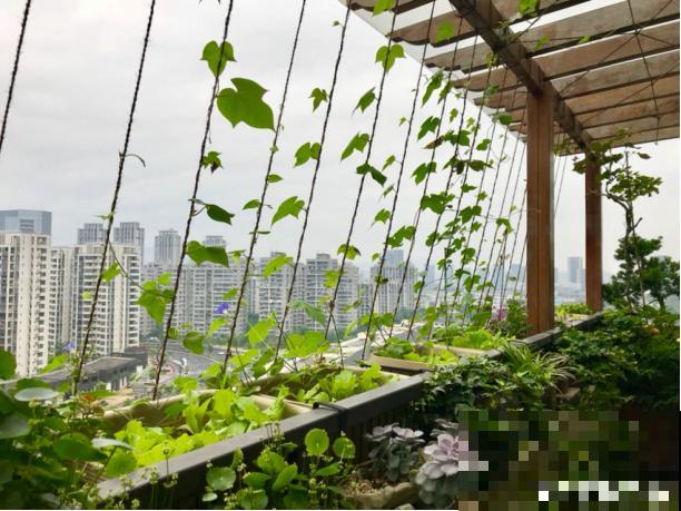 聪明人改造阳台，花盆都是这么摆，2天就能变花园！