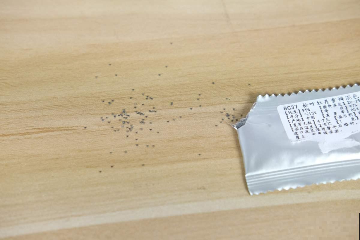 现在正当播种时，掌握播种“5个”小技巧，嗖嗖蹿小芽