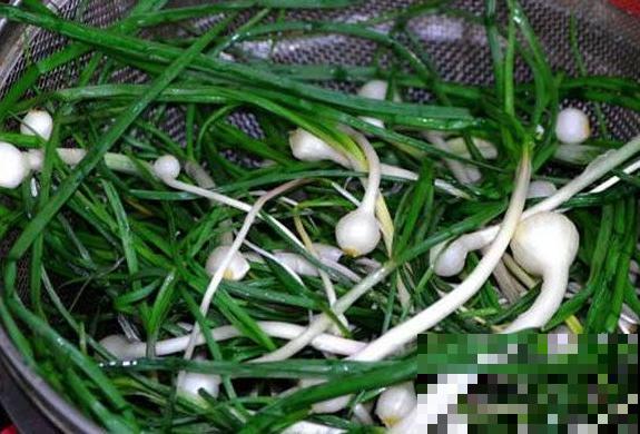 老家门口的野菜，口感太鲜嫩了，一盘上来就抢光！
