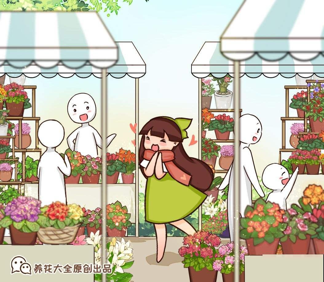 花市买这3种花，千万别贪便宜，否则上当还生气