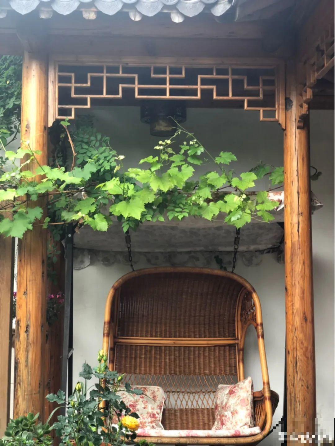 有一方小院，和你一起养花种草，这样就挺好！