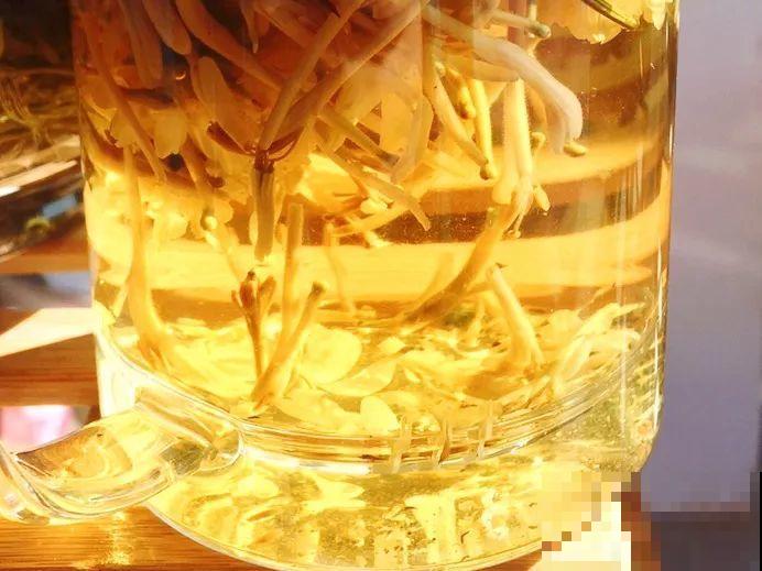 这花比茉莉还香，现在养夏天就能开，还省了一笔茶叶钱！