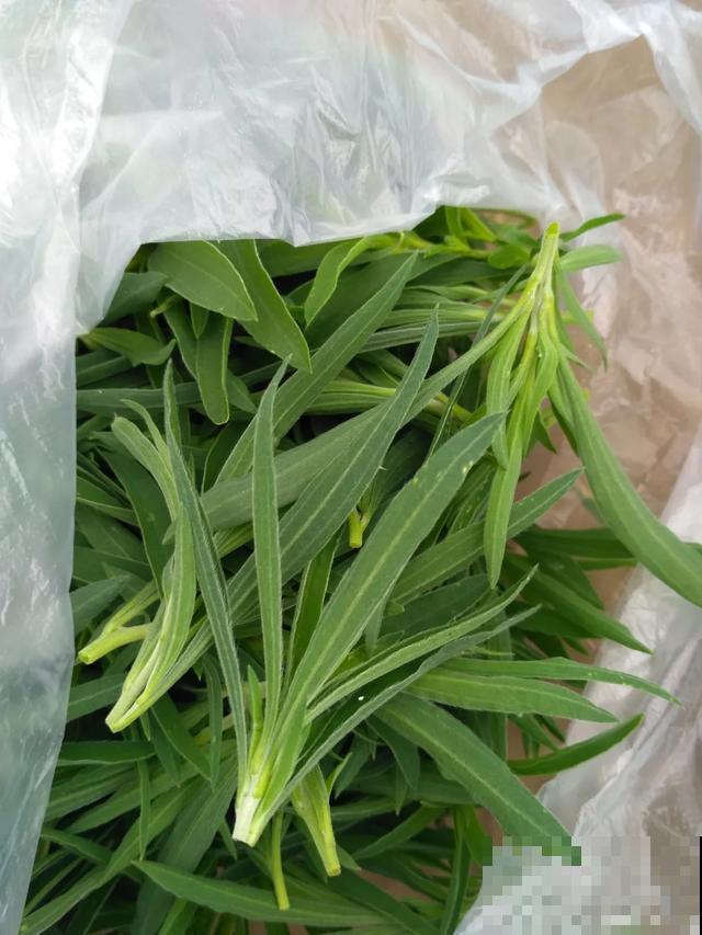 春天野菜赛黄金，教你2种做法，好吃又养生！
