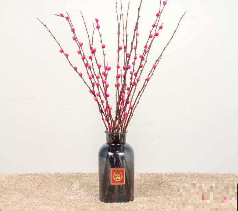 春节7种花开得旺，花期能维持大半年，你家有没有？