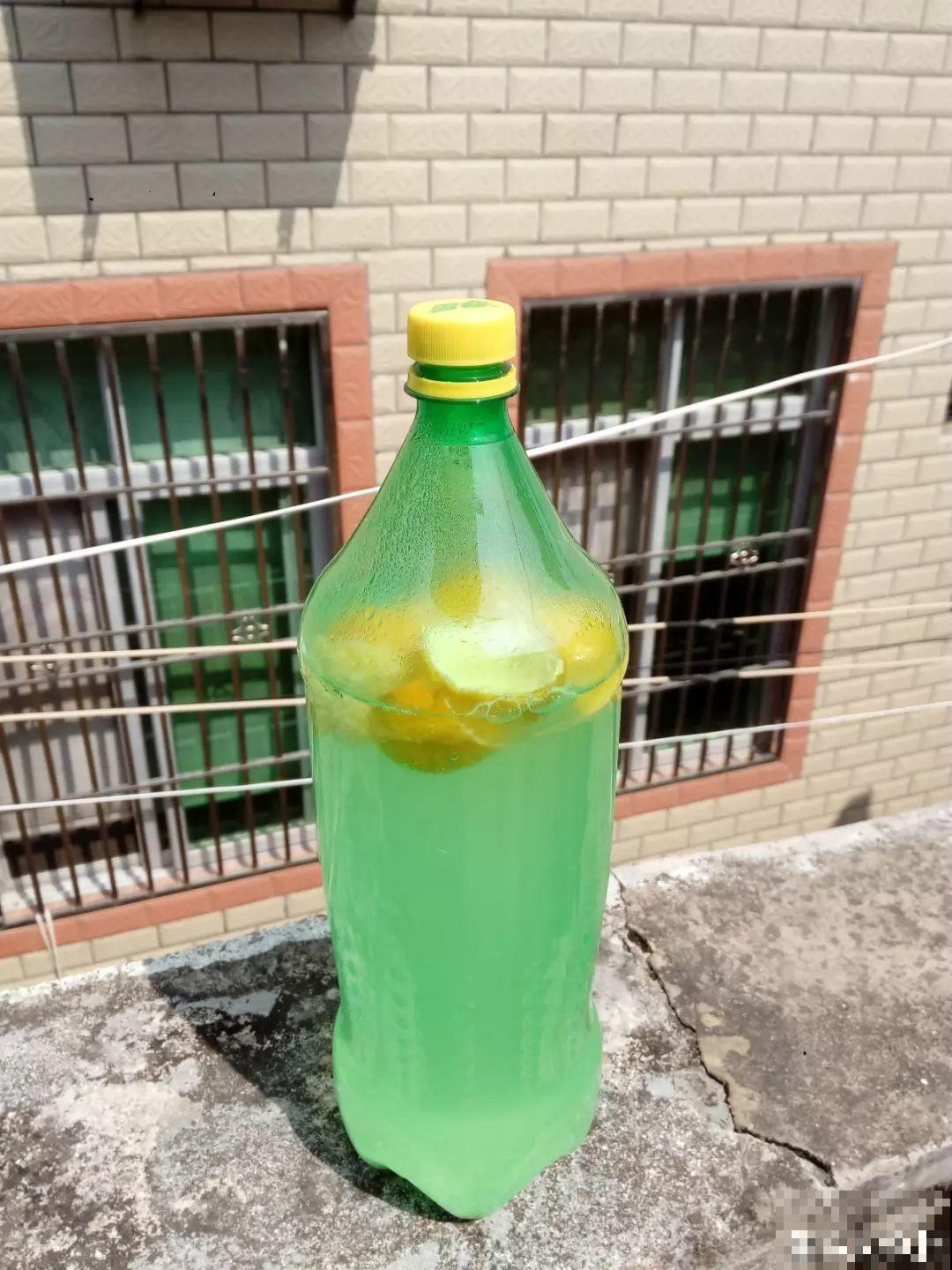 鸡蛋壳这么用，啥效果也没有，反而招了满盆小虫子！