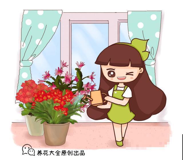 养花人跟不养花的人有什么区别？看这几点就知道！