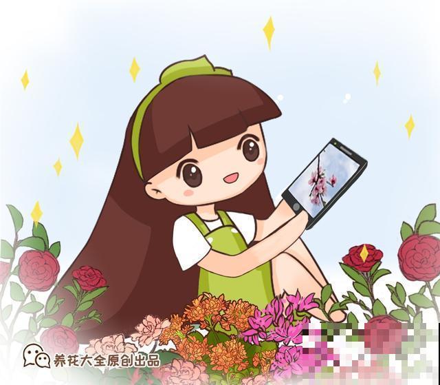 养花人跟不养花的人有什么区别？看这几点就知道！