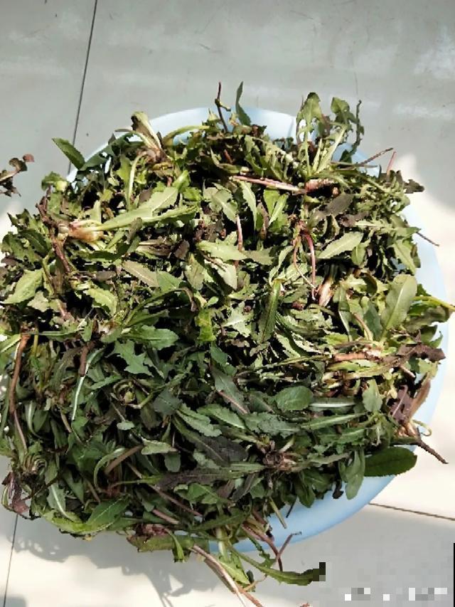 春天野菜赛黄金，教你2种做法，好吃又养生！
