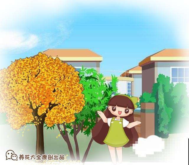 养花人跟不养花的人有什么区别？看这几点就知道！