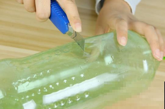 雪碧瓶剪一刀，养花扦插绝对活，大白根呼呼长！
