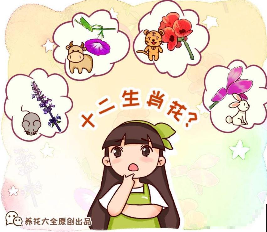 2020鼠年运气最旺的3个生肖，快看有没有你！