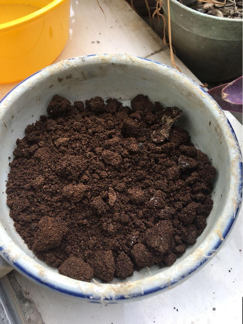 土里加点“小粉末”，虫子全杀灭，安全效果好