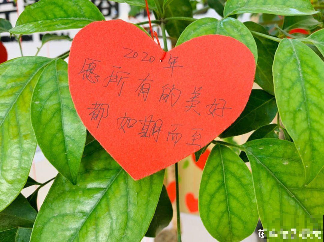 每天都有好消息，等到春暖花开时，所有的美好也都会如期而至！