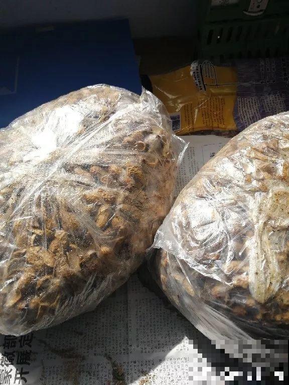 1把果壳丢盆里，比任何肥料都好使，养10年不烂根！