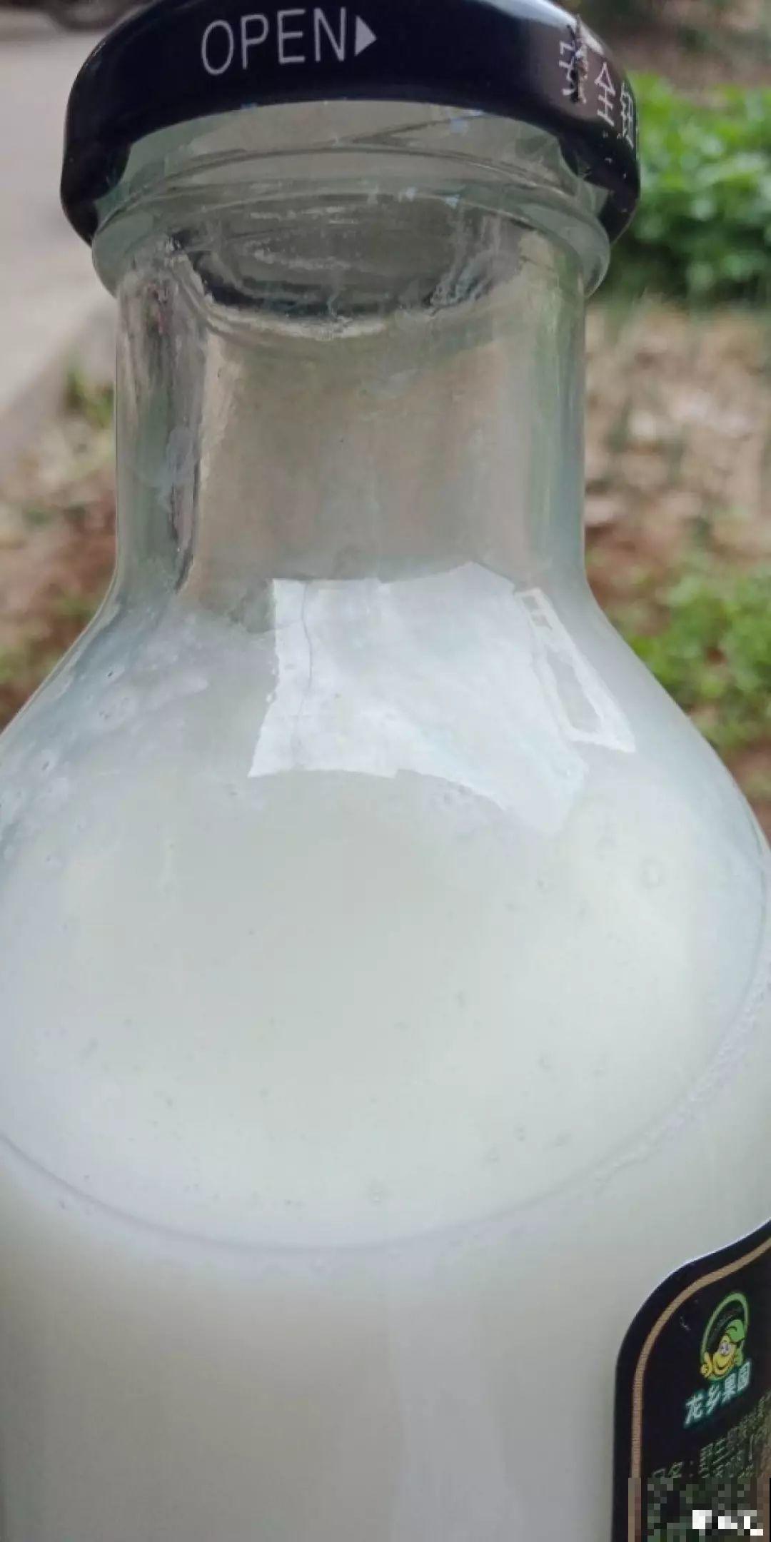 鸡蛋壳这么用，啥效果也没有，反而招了满盆小虫子！