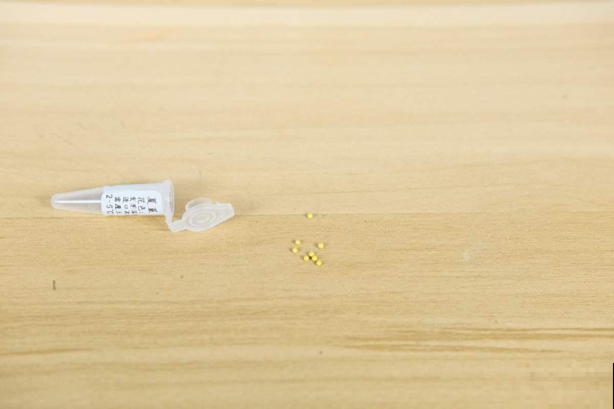 现在正当播种时，掌握播种“5个”小技巧，嗖嗖蹿小芽