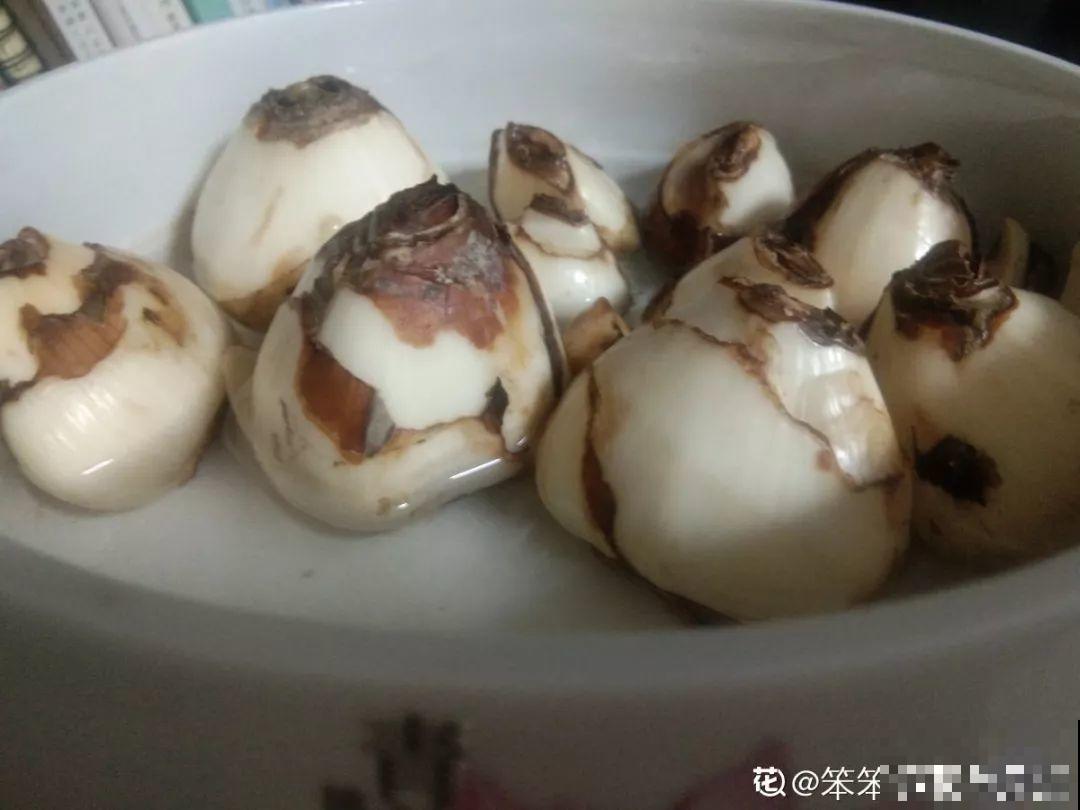 这花真奇葩，越开花叶子越黄，掐一把、来年继续开！