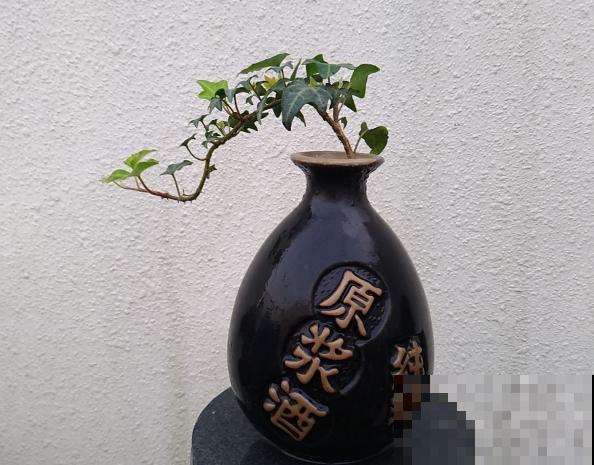 路边这2样东西，捡回家养花，花不烂长得旺！