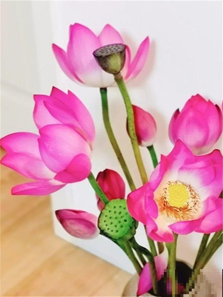 正月初一，过年好！带着花儿来拜年！