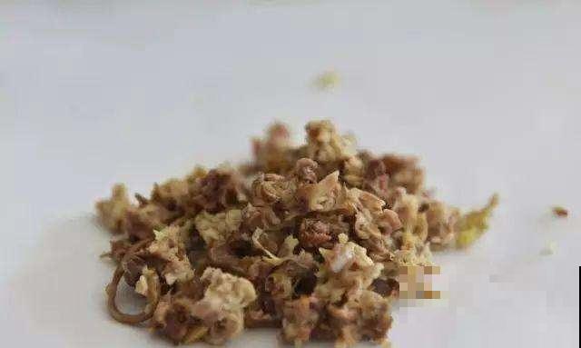 冬天炖骨头汤，剩下的大棒骨不要扔，这么一弄养花绝了！