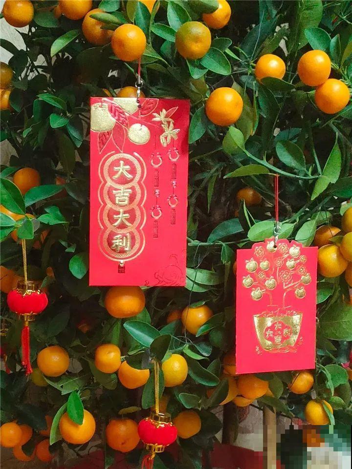 正月初一，过年好！带着花儿来拜年！