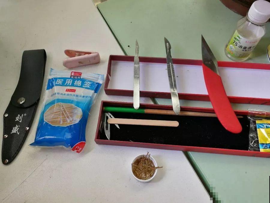 蟹爪兰插萝卜上，也能嫁接？这波操作还是头一回见！