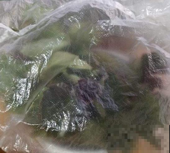家里养栀子花，3个错误不要犯，否则一盆也养不活！