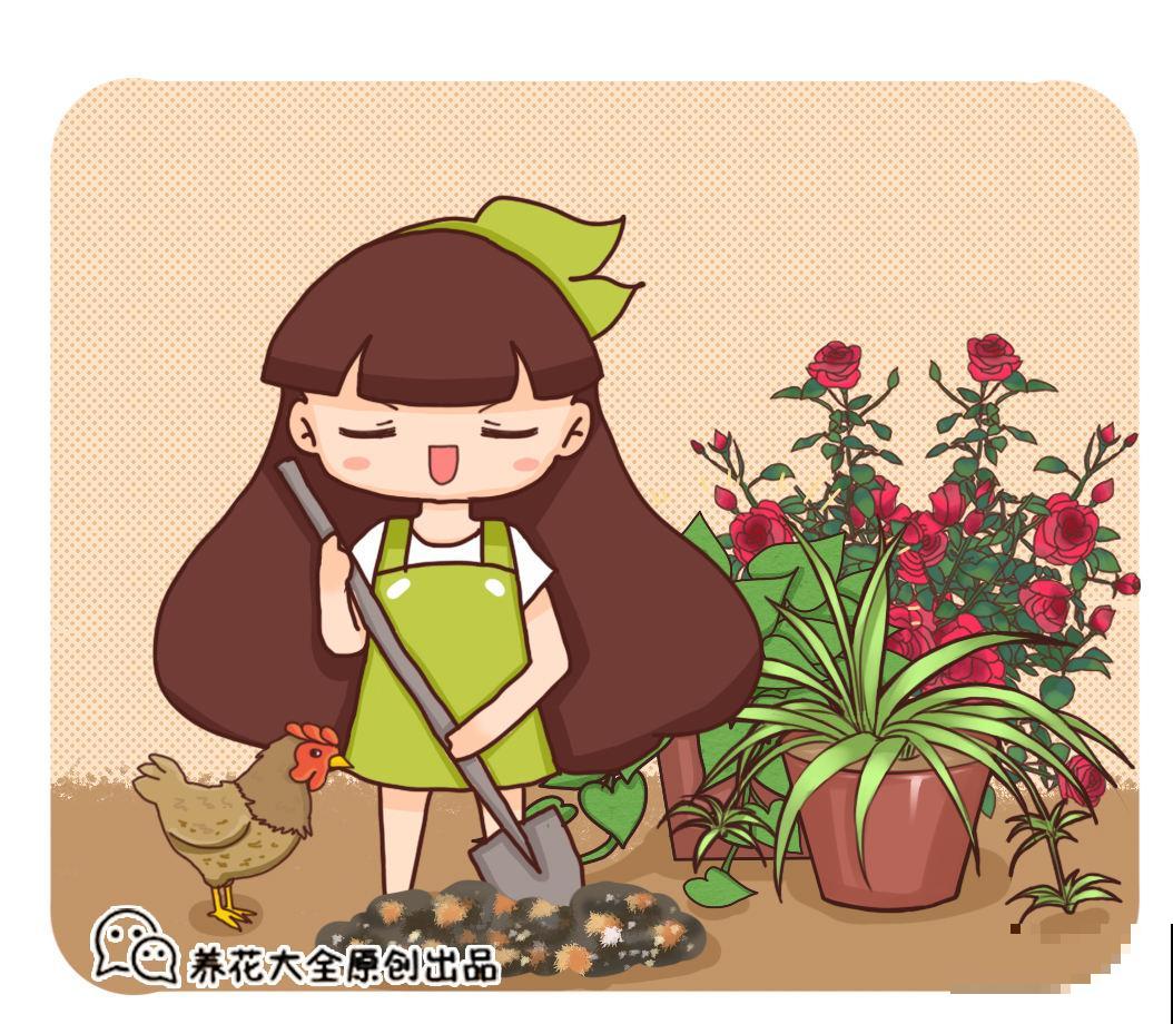 聪明人养花，施肥前会做三件事，怪不得叶肥花旺