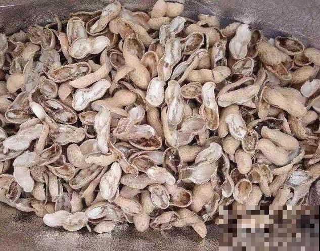 这些东西千万别扔，拌进土里给花吃，花儿蹭蹭长