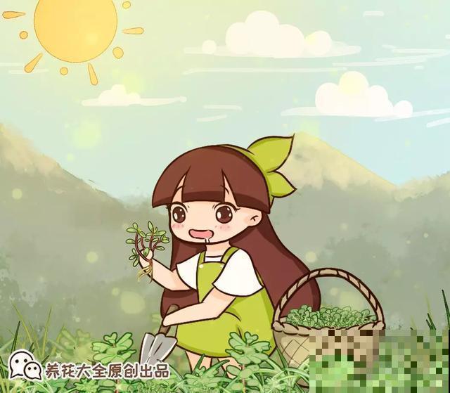 春天野菜赛黄金，教你2种做法，好吃又养生！