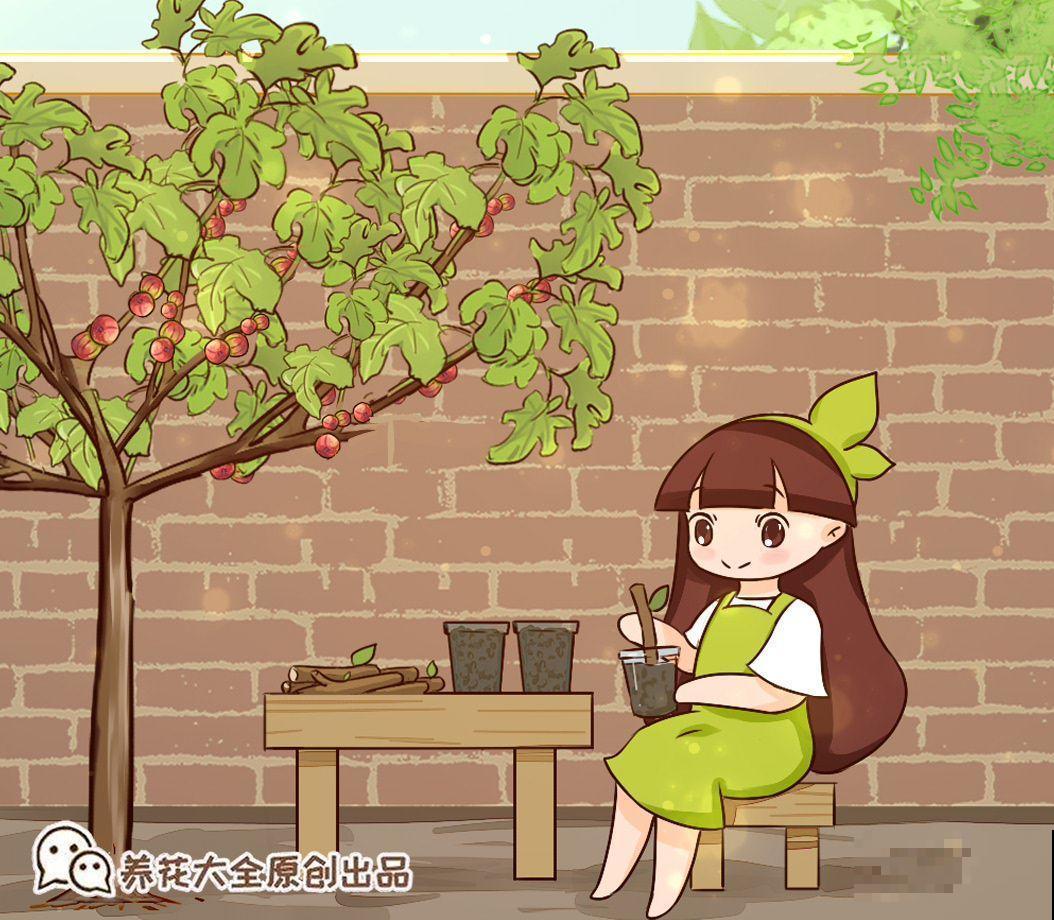 大粗杆插土里，7天生根，当年结果压弯枝，不用买水果了！