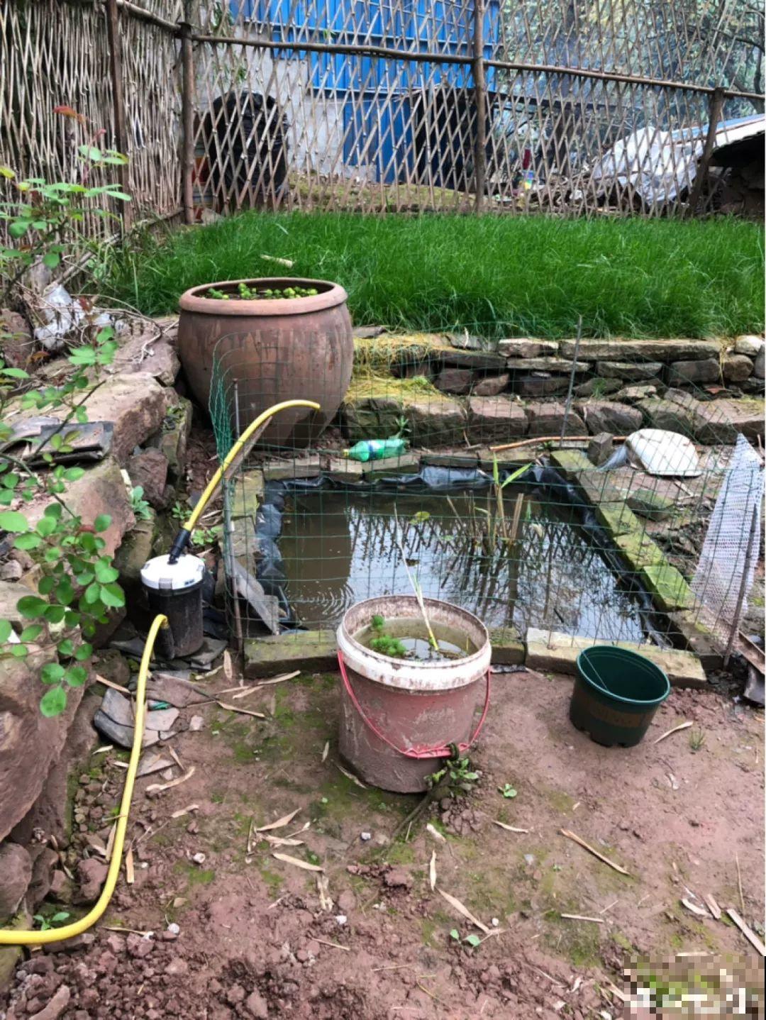 他甘愿回到农村，把荒废的老屋，改造成花园！