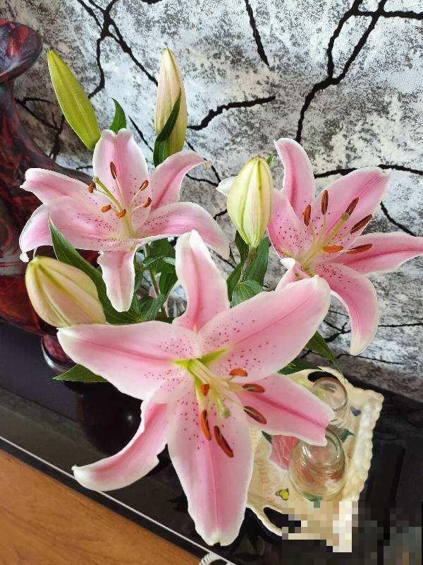 鲜花插瓶里，水里加点它，花期延长1个周