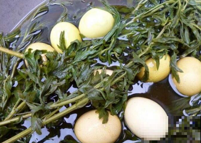 农村一种野草，能做菜能入药，还能泡脚驱寒，对女人身体好！