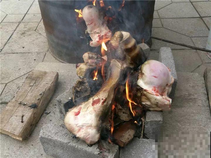 冬天不方便换盆？那就撒把这种肥，长得壮还能防烂根！