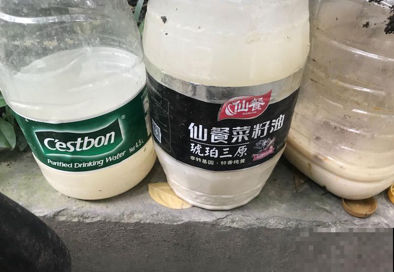 厨房里的这玩意，养花能力一流，装瓶子里一晃就能浇花！