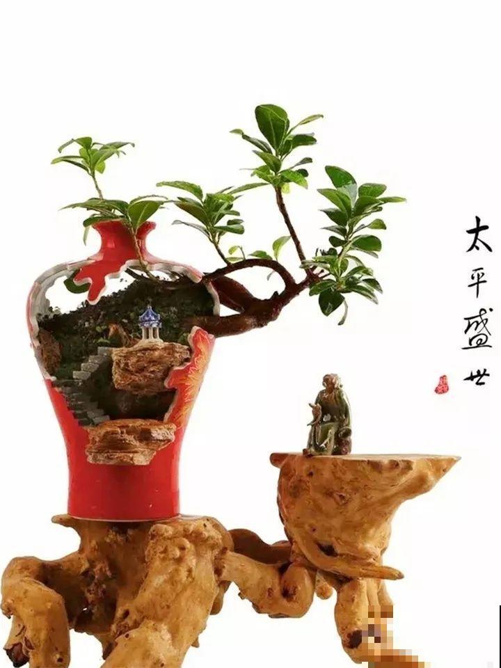 酒瓶子舍不得扔，做成花盆，美到你认不出来！